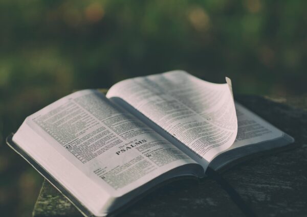 Etudes bibliques sur le livre de l’Apocalypse dès le 26/09/25