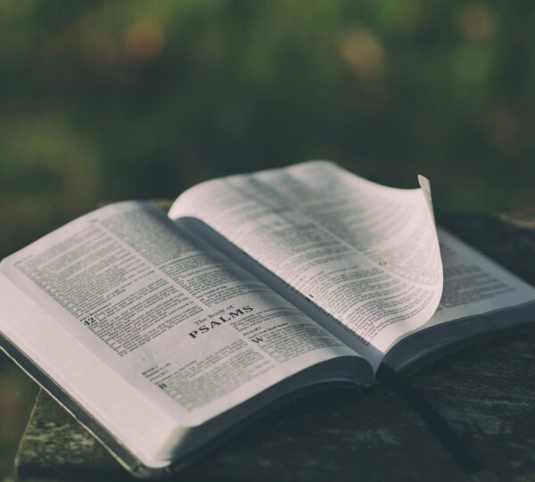 Etudes bibliques sur le livre de l’Apocalypse dès le 26/09/25